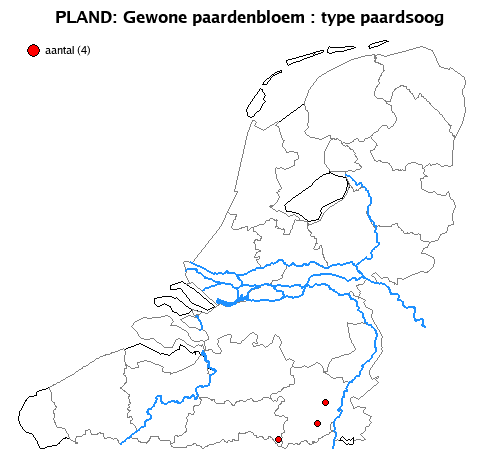 paardsoog